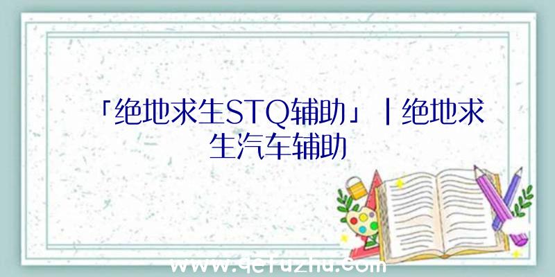 「绝地求生STQ辅助」|绝地求生汽车辅助